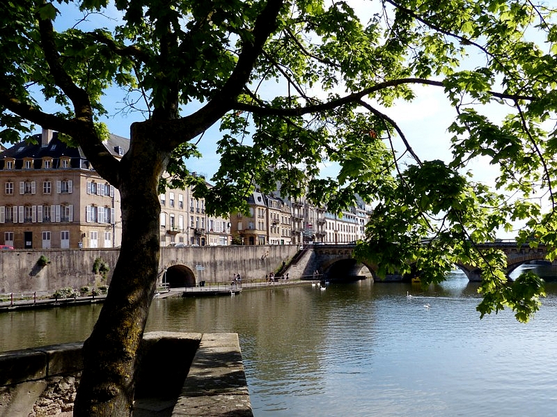 Metz / Suite à une promenade sous les arbres...