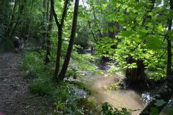 La balade du 20 juin au Locheur