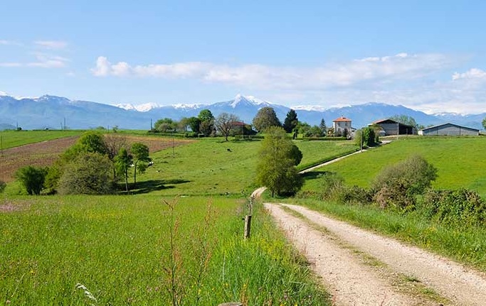 Département de la Haute Garonne