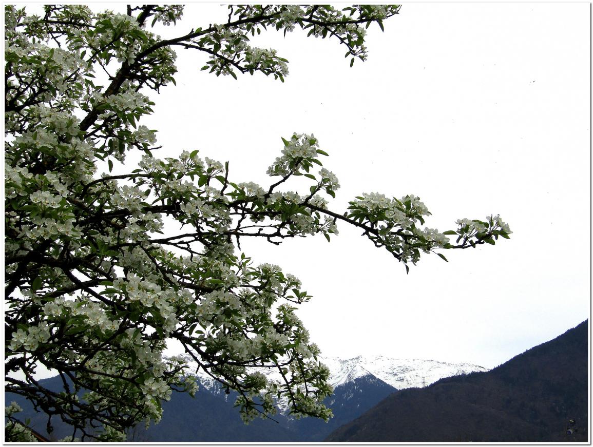  LA DERNIERE NEIGE D'AVRIL 2022