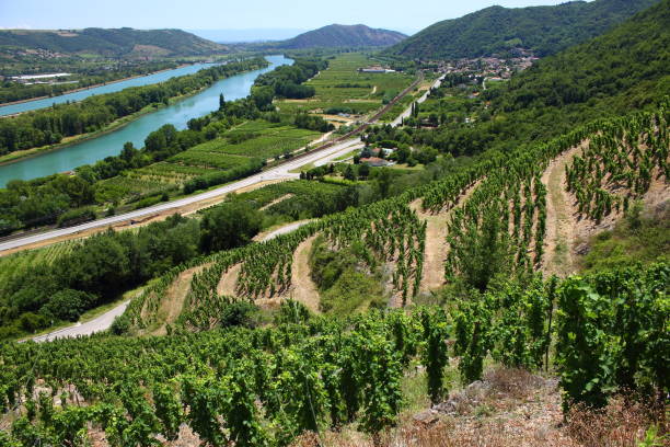 Département du Rhône