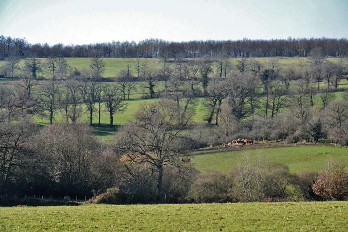 Département de la Haute-Vienne