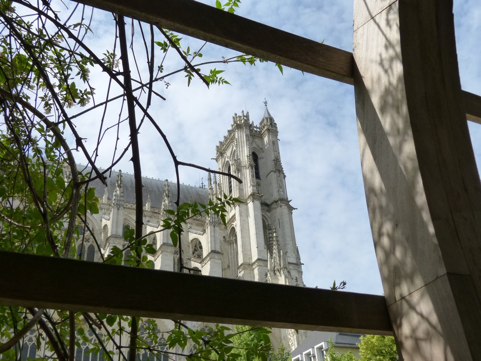 Rencontre avec un artiste peintre