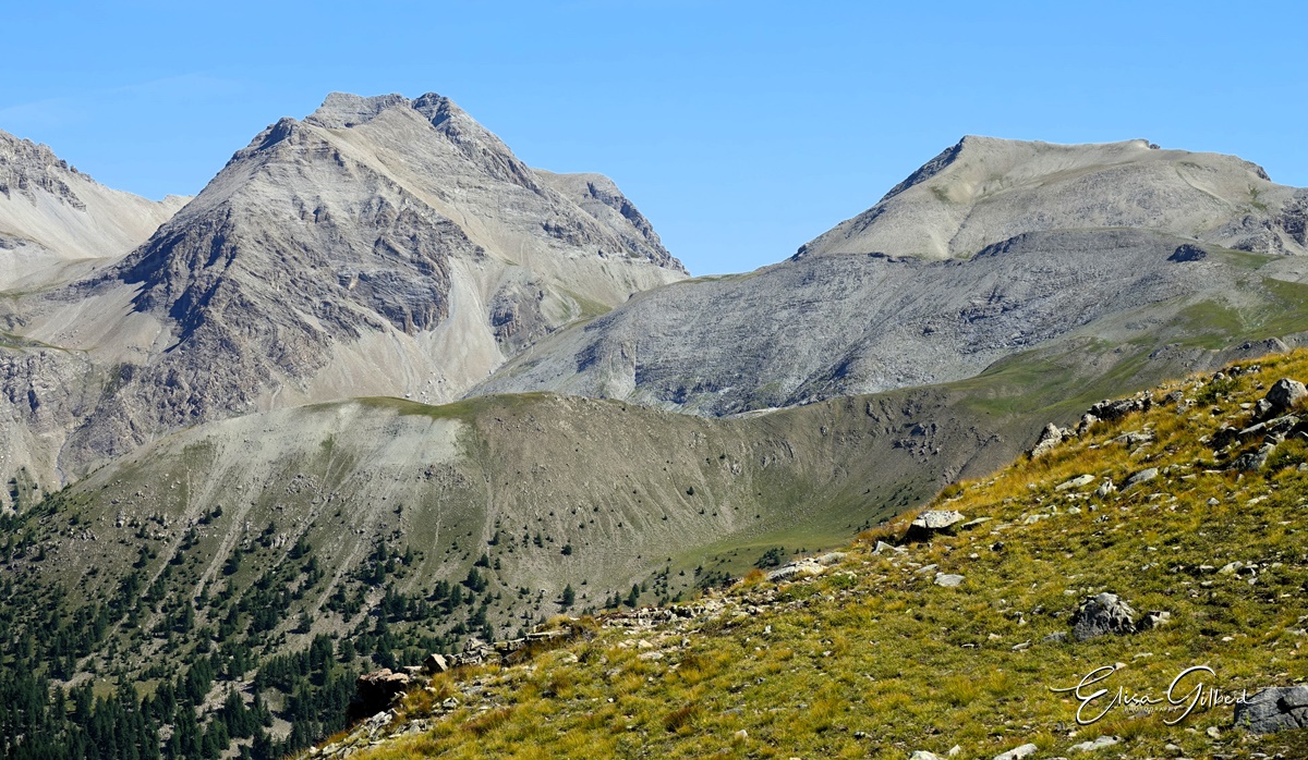 L'Encombrette