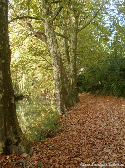 -Le Château de Mauvilly