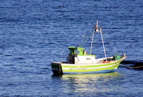 Lundi 20 au dimanche 26 janvier