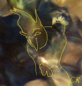 Rubrique Photos exceptinnelles d'Emanants : Les EMANANTS DES ETRES DE LA NATURE