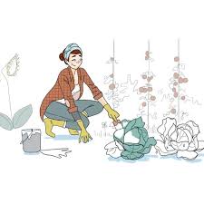 Expressions pittoresques ou la quintessence de la sapience