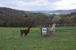La randonnée du 19 mars à Cauville