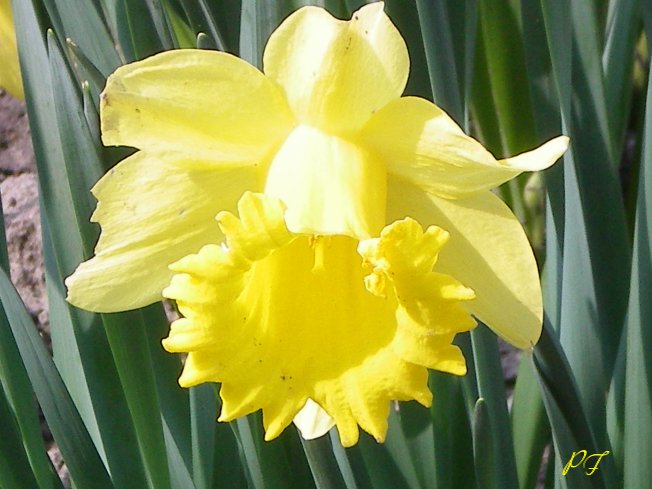 Image48.jpg