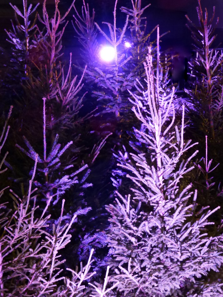 Amiens en habit de lumière
