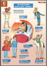 Equitation: 3 journées autour du cheval