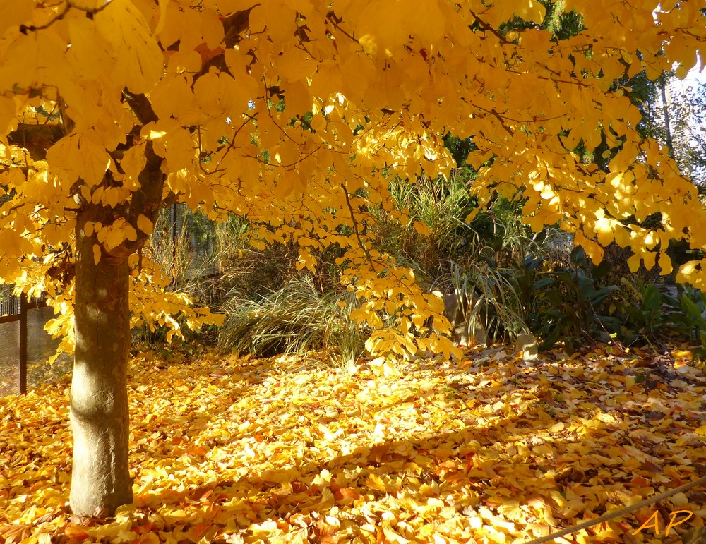 Le zoo avant sa fermeture annuelle
