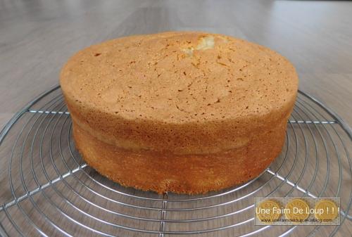 Molly cake