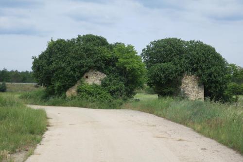 Randonnée "Au fil de l'eau" à NERS