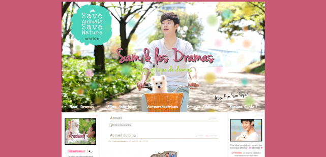 5 choses à connaître sur mon blog...