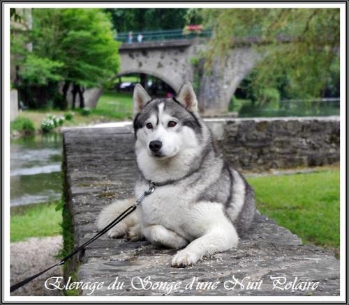 Iska (3,5 ans)