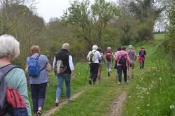 La balade du 23 avril à Banneville-sur-Ajon