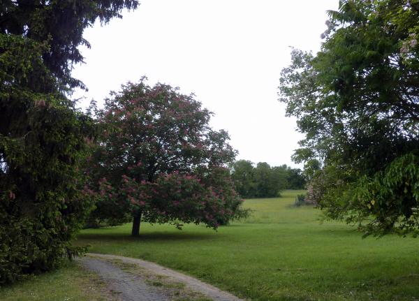 Randonnée entre Mareil-sur-Mauldre et Neauphle-le-Château