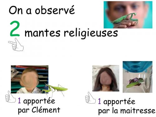Les petites histoires à compter