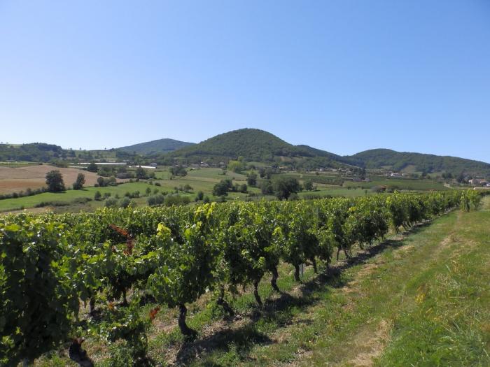 Département du Rhône