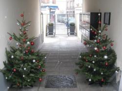 Sapins