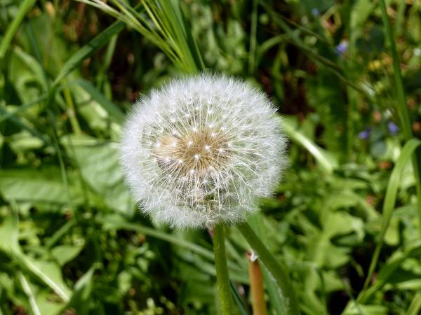 Symphonie en bleu et jaune avec Générations 13
