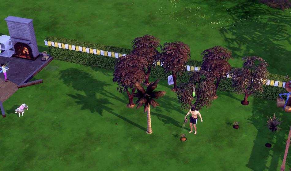 [CALF] Printemps 3 - Semaine 12 - Jours 79 à 82