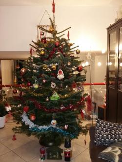  Sapin,  Oui mais pleins de sapiiiinnnnns !