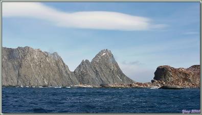 Point Wild et Belsham Cape