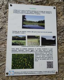 CR / RANDO 15 - RIONS - Lac de Laromet