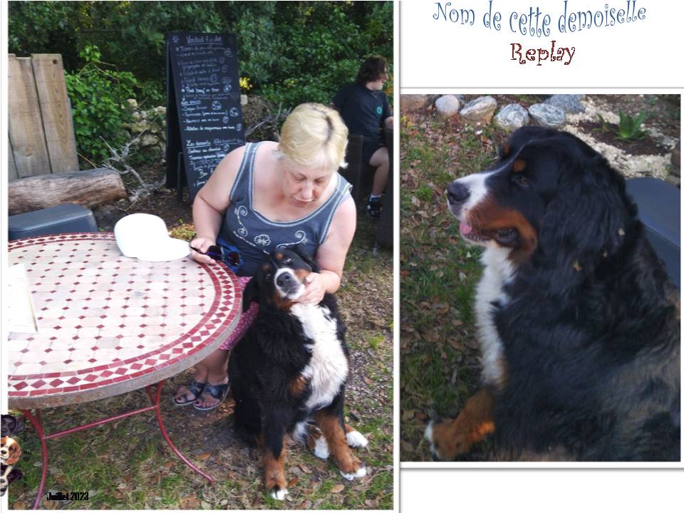Rencontres animalières pendant mes vacances
