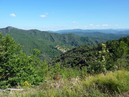 Les Cevennes