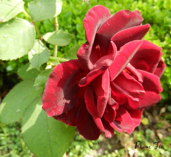 Image003.jpg