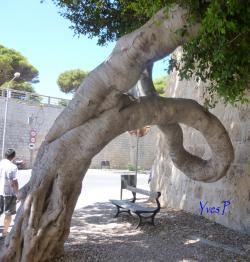 La page de Yves P.‏