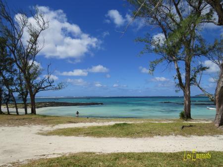 Malcom De Chazal et l'Ile-Fée