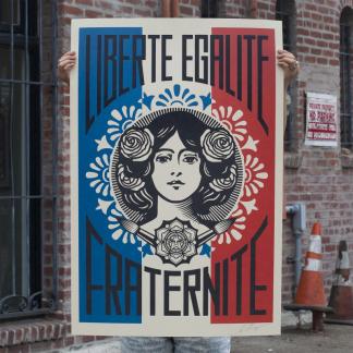 Carte Hda Shepard Fairey