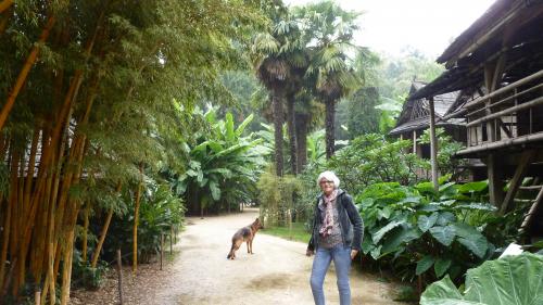 Vacances 