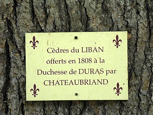 Chateau-d-USSE---Collegiale-et-jardins 0835