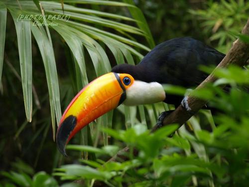 (c) - Elisa Heurtaux