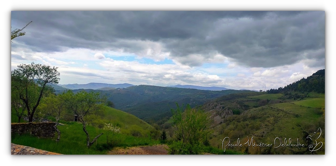 Dans le Parc National des Cévennes