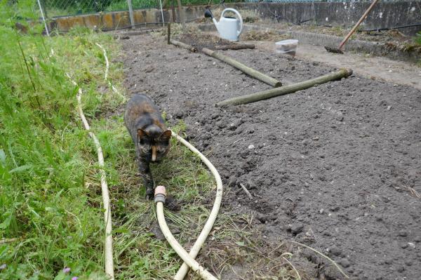 Travaux de jardinage