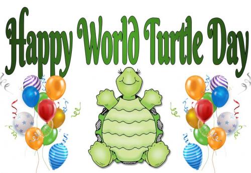Journée mondiale de la tortue