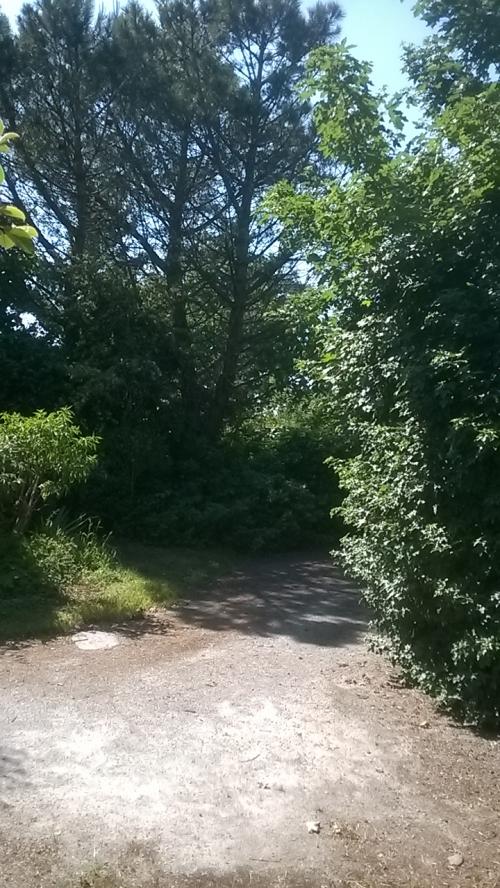 Un petit tour au jardin