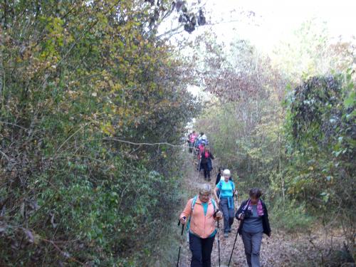 "Couchey TO" - Mercredi 24 octobre 2018