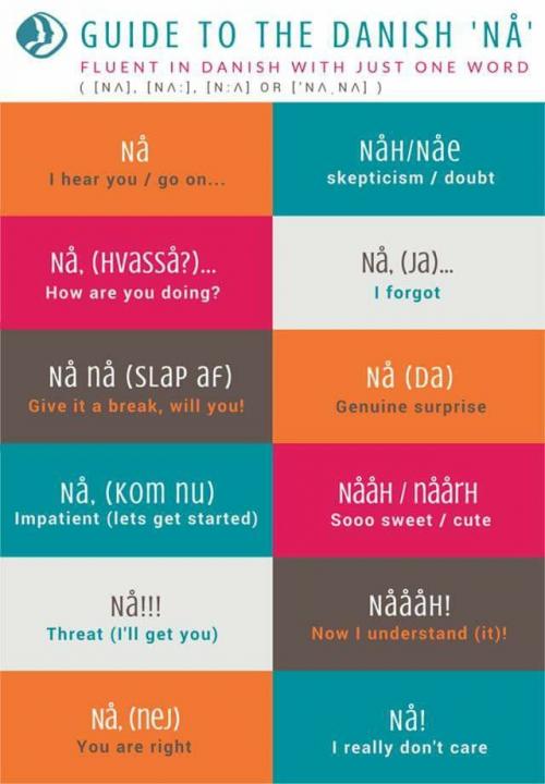 Guide ''NA'' danois