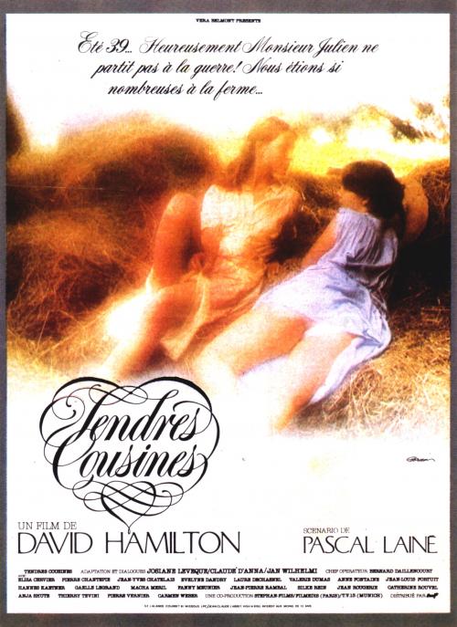TENDRES COUSINES BOX OFFICE FRANCE 1980