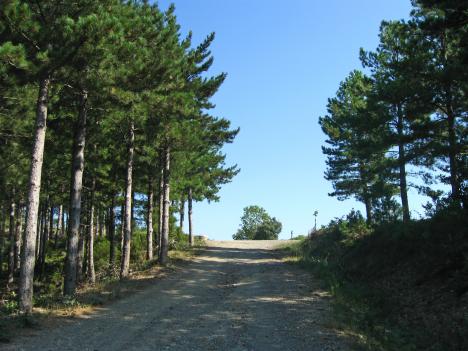 Sur les hauteurs d'une vallée âpre - Le Tour du Vallespir - Etape 1 : Amélie-les-Bains - Batère - 21,3 kms.