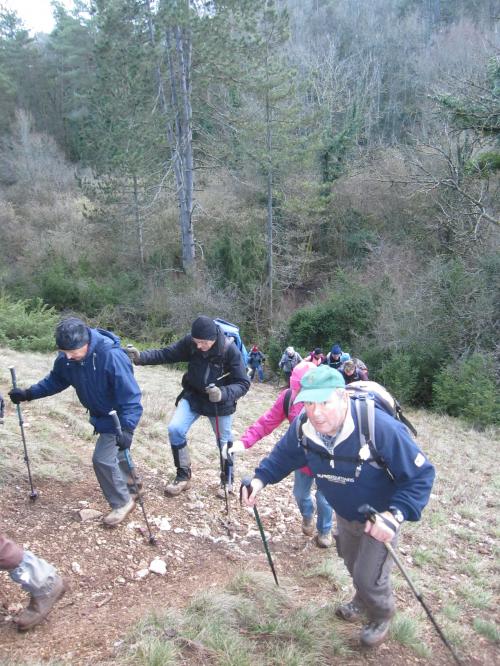 "Ahuy - Charmes aux Lièvres" - Dimanche 17 janvier 2016
