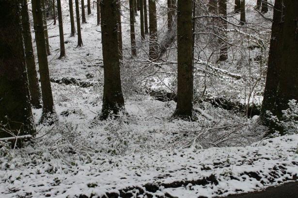 Neige en Monts d'Arrée 092